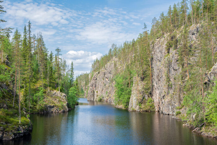 Recent Trends in Finland's Defence and Security Sector