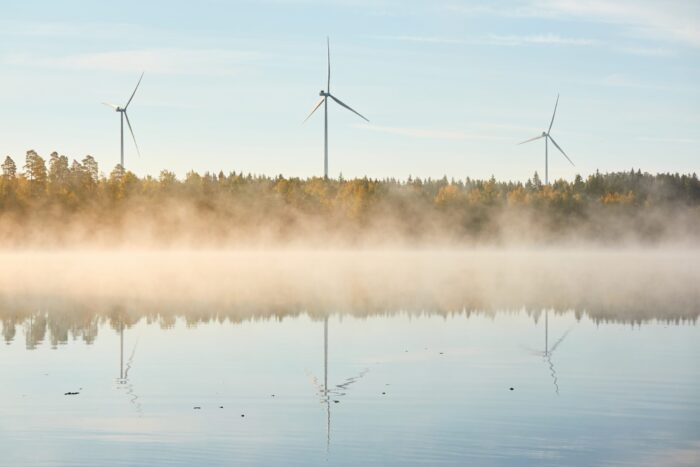 D&I webinar - Legal Initiatives Impacting Wind, Solar and Energy Storage Landscape in Finland