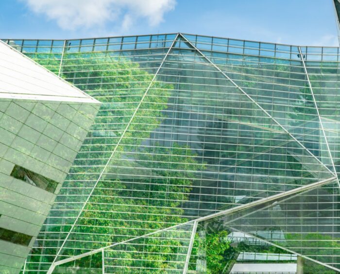 Patent strategies under scrutiny