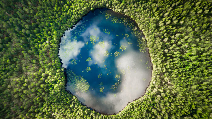Climate litigation: the emerging Finnish landscape in light of recent global developments